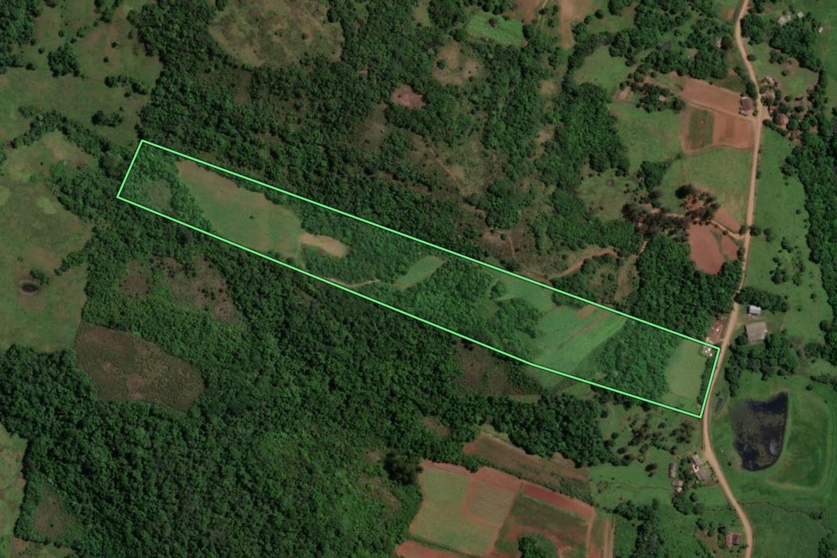 Imagem de satélite do imóvel rural em Toropi (RS), com o contorno declarado no CAR desenhado por cima.