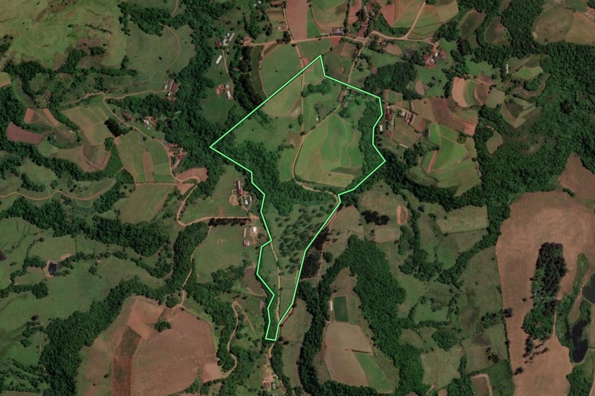 Imagem de satélite do imóvel rural em Toropi (RS), com o contorno declarado no CAR desenhado por cima.