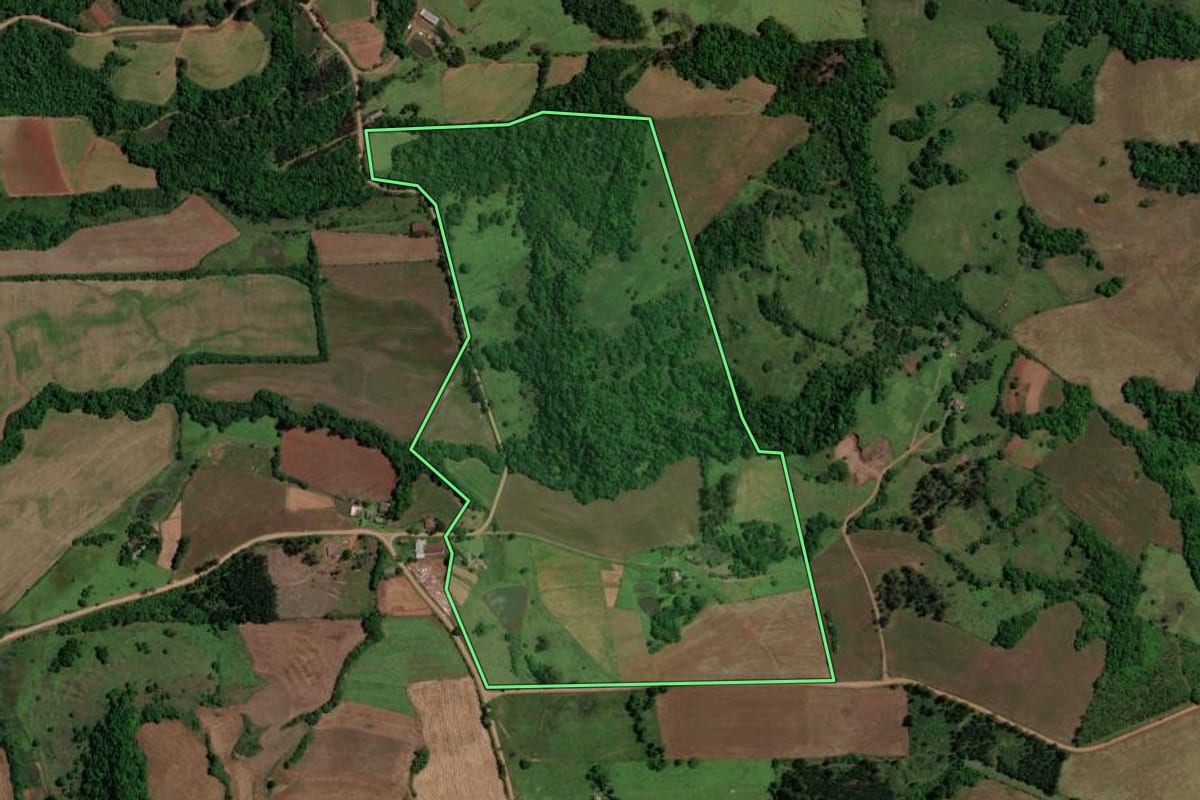 Imagem de satélite do imóvel rural em Toropi (RS), com o contorno declarado no CAR desenhado por cima.