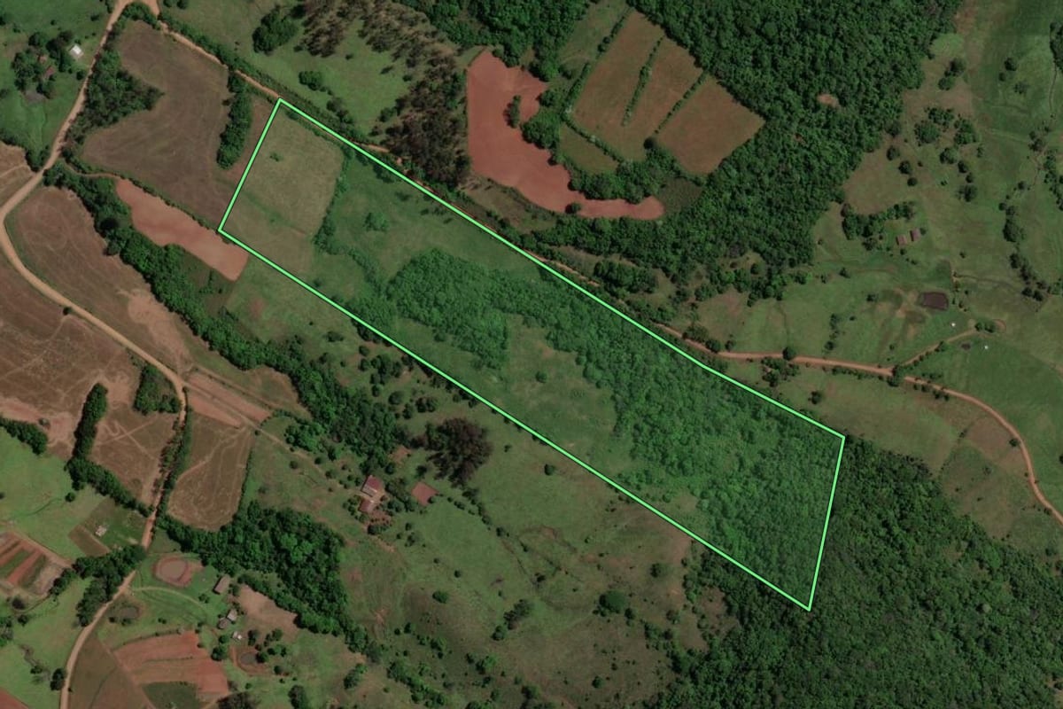 Imagem de satélite do imóvel rural em Toropi (RS), com o contorno declarado no CAR desenhado por cima.