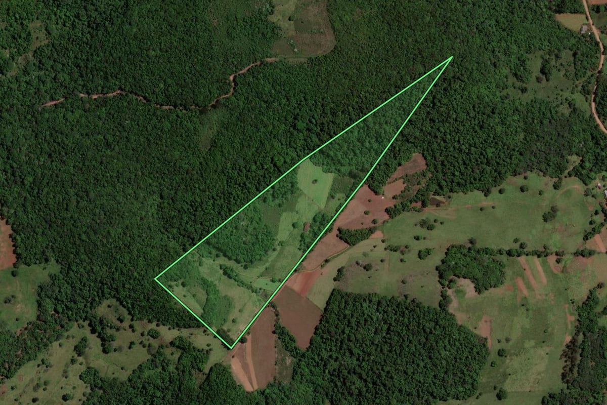 Imagem de satélite do imóvel rural em Toropi (RS), com o contorno declarado no CAR desenhado por cima.