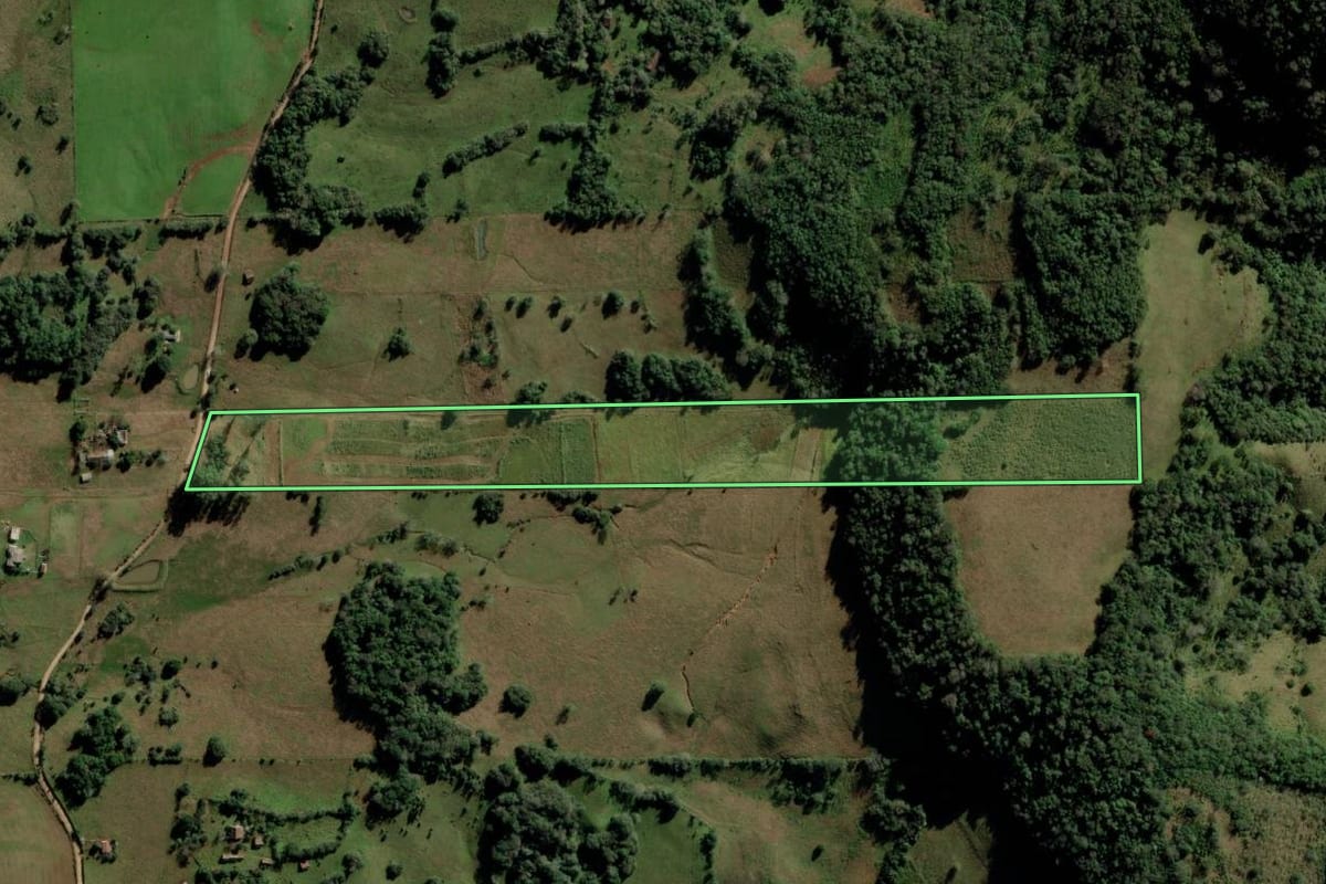 Imagem de satélite do imóvel rural em Toropi (RS), com o contorno declarado no CAR desenhado por cima.