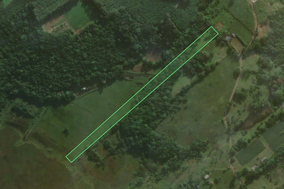 Imagem de satélite do imóvel rural em Torres (RS), com o contorno declarado no CAR desenhado por cima.