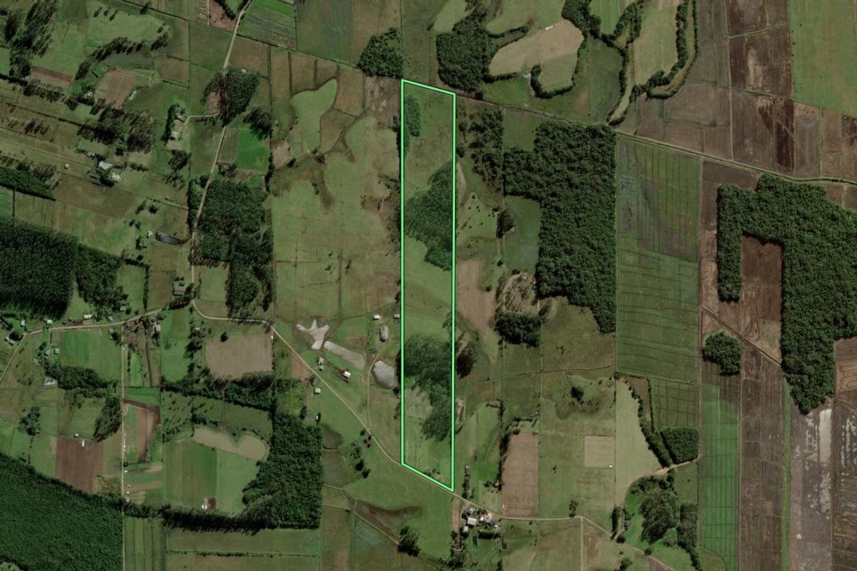 Imagem de satélite do imóvel rural em Torres (RS), com o contorno declarado no CAR desenhado por cima.