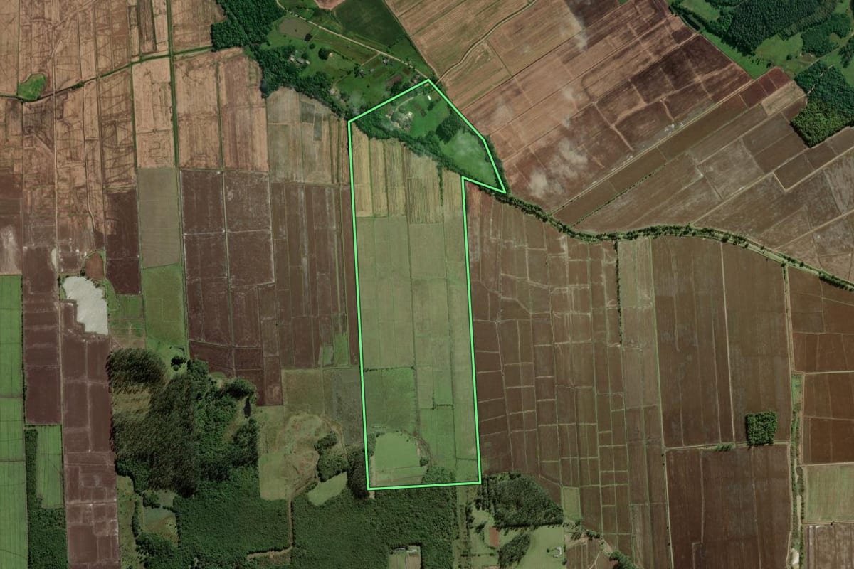 Imagem de satélite do imóvel rural em Torres (RS), com o contorno declarado no CAR desenhado por cima.