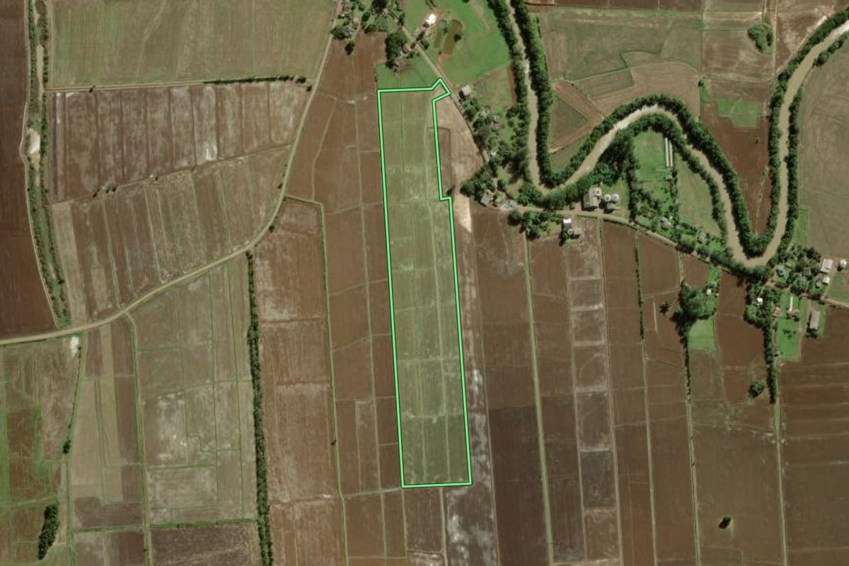 Imagem de satélite do imóvel rural em Torres (RS), com o contorno declarado no CAR desenhado por cima.