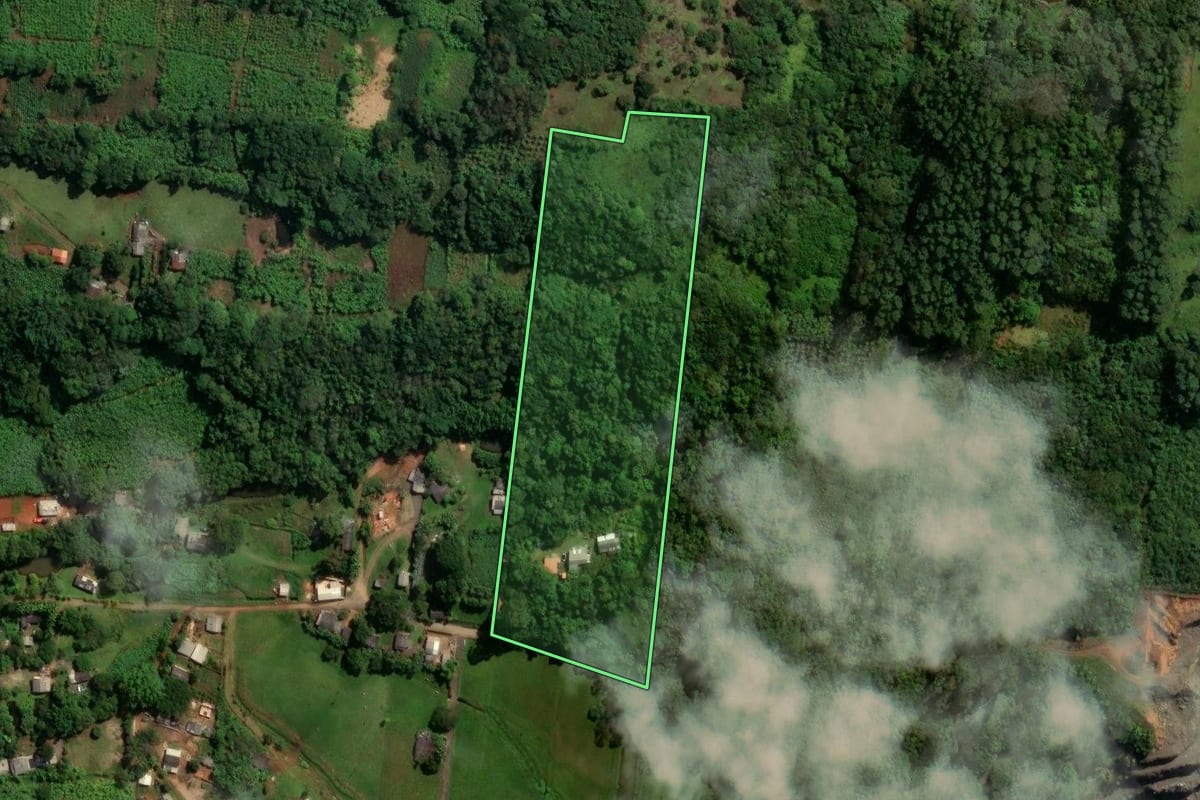 Imagem de satélite do imóvel rural em Torres (RS), com o contorno declarado no CAR desenhado por cima.