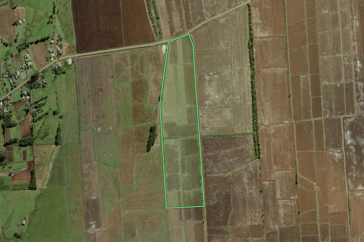 Imagem de satélite do imóvel rural em Torres (RS), com o contorno declarado no CAR desenhado por cima.