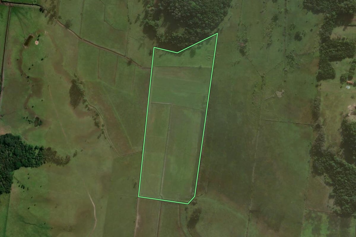 Imagem de satélite do imóvel rural em Torres (RS), com o contorno declarado no CAR desenhado por cima.