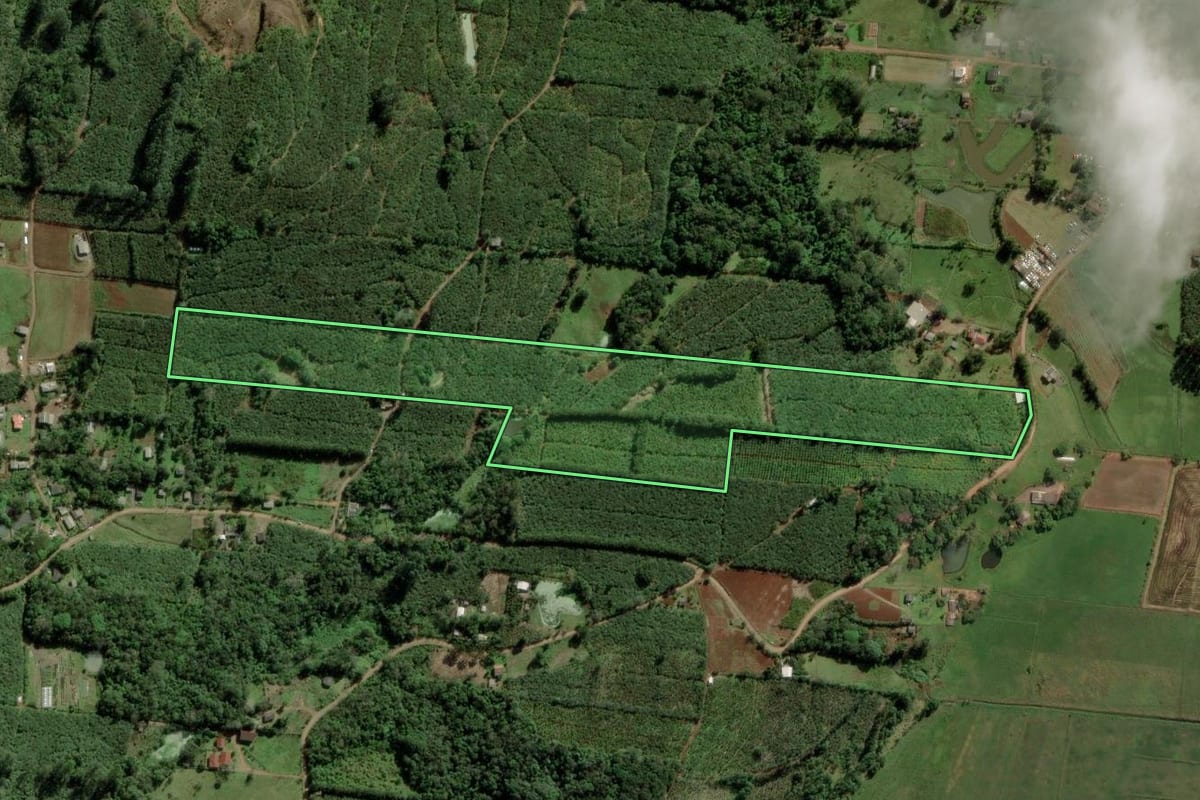 Imagem de satélite do imóvel rural em Torres (RS), com o contorno declarado no CAR desenhado por cima.