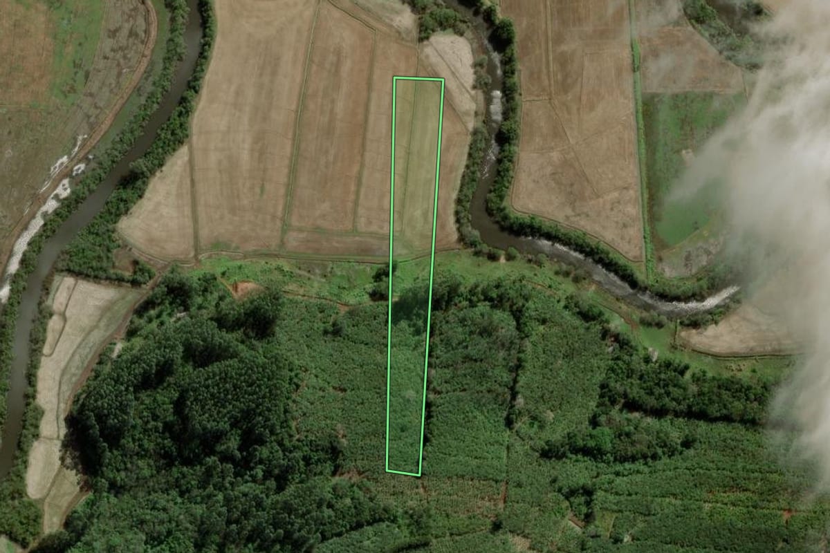 Imagem de satélite do imóvel rural em Torres (RS), com o contorno declarado no CAR desenhado por cima.