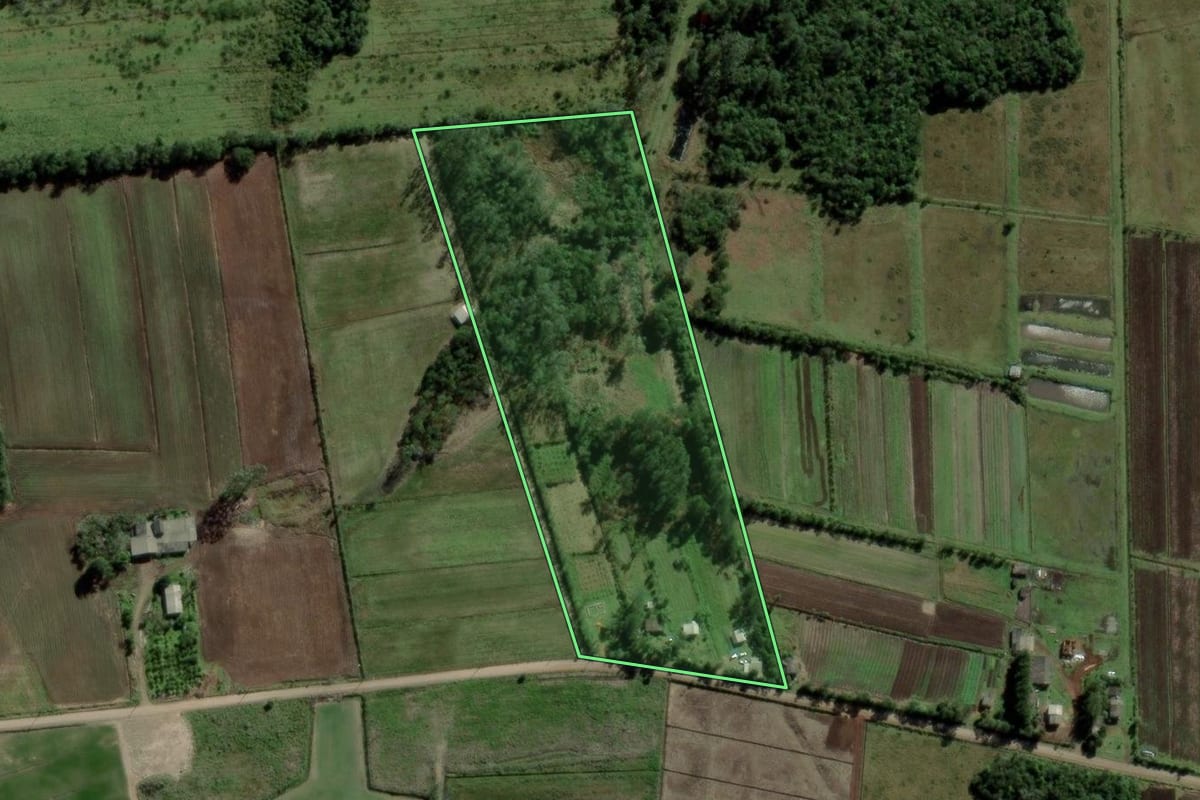 Imagem de satélite do imóvel rural em Torres (RS), com o contorno declarado no CAR desenhado por cima.