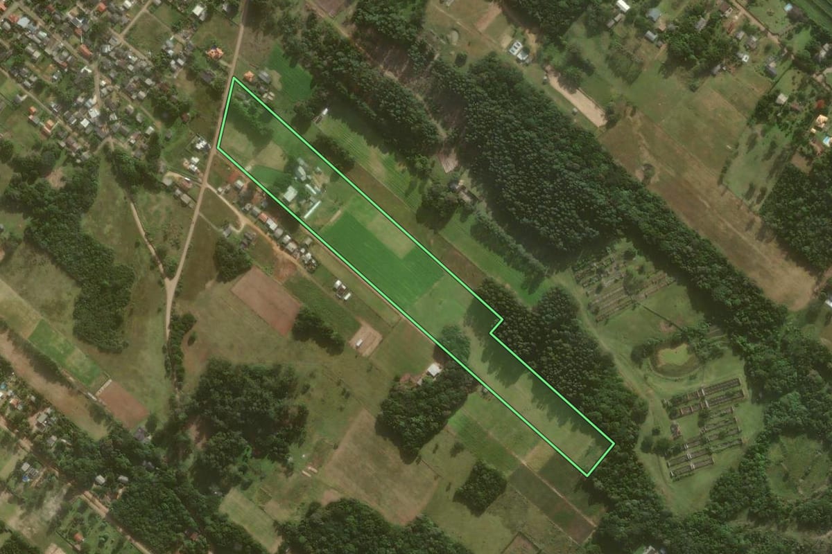 Imagem de satélite do imóvel rural em Torres (RS), com o contorno declarado no CAR desenhado por cima.