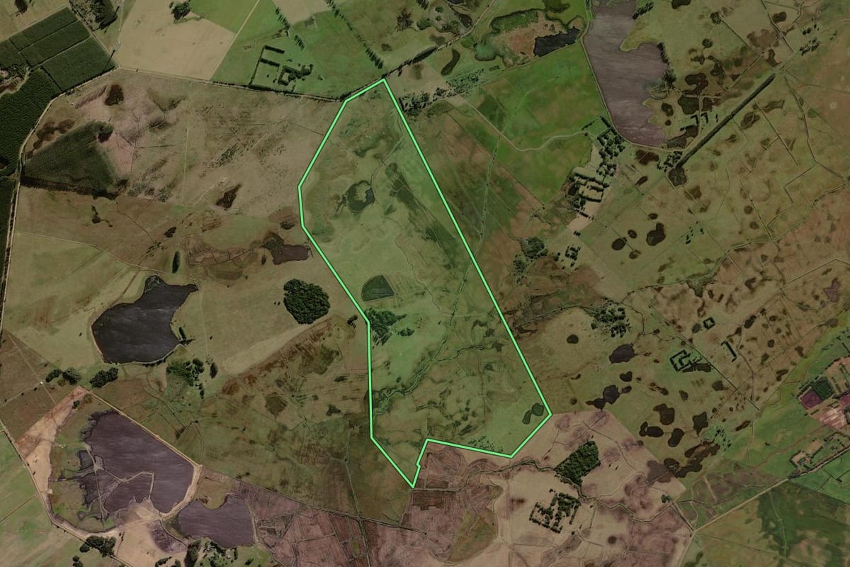 Imagem de satélite do imóvel rural em Tramandaí (RS), com o contorno declarado no CAR desenhado por cima.