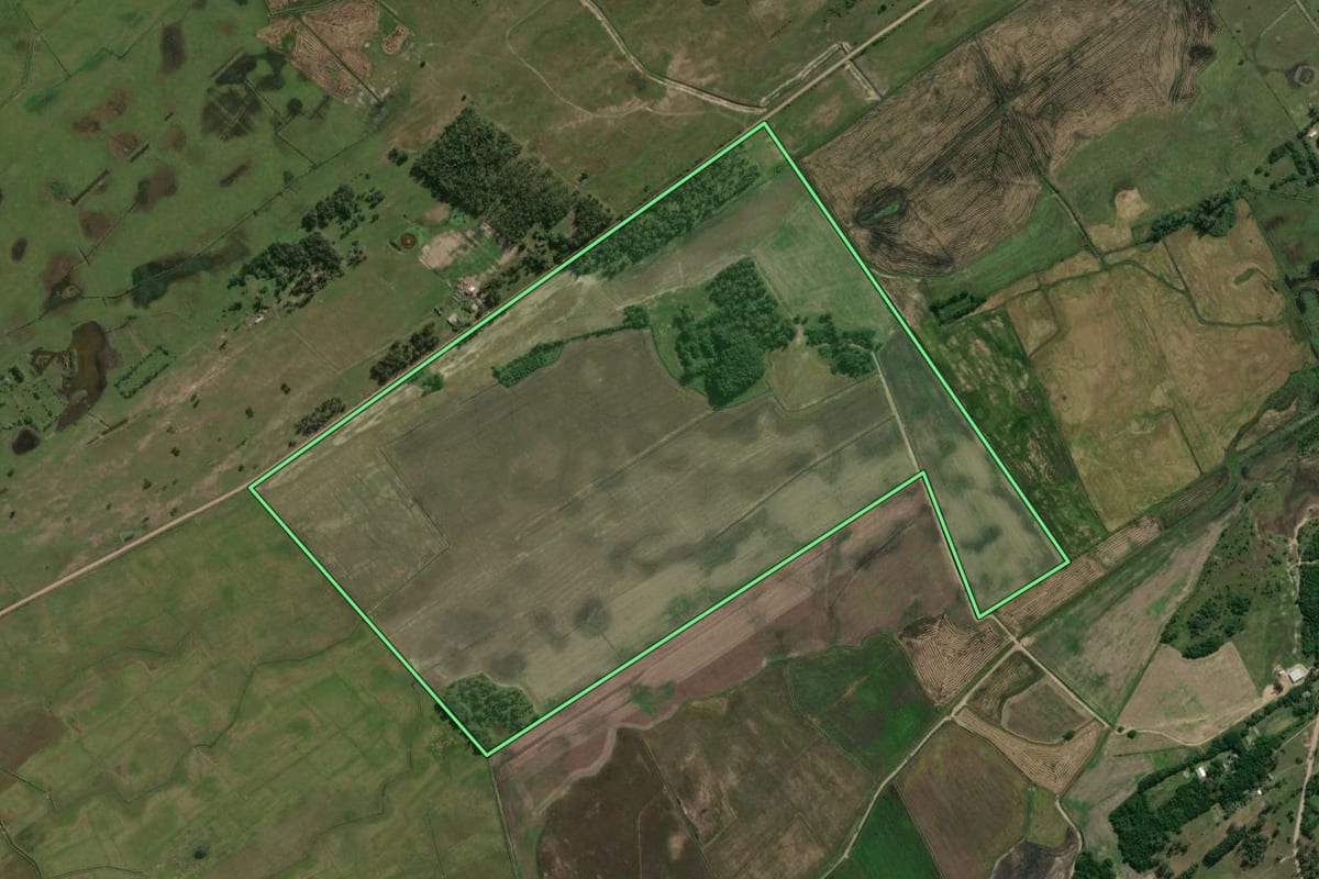 Imagem de satélite do imóvel rural em Tramandaí (RS), com o contorno declarado no CAR desenhado por cima.
