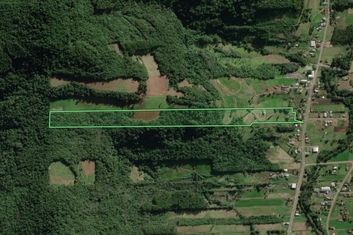 Imagem de satélite do imóvel rural em Travesseiro (RS), com o contorno declarado no CAR desenhado por cima.