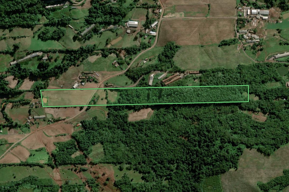 Imagem de satélite do imóvel rural em Travesseiro (RS), com o contorno declarado no CAR desenhado por cima.