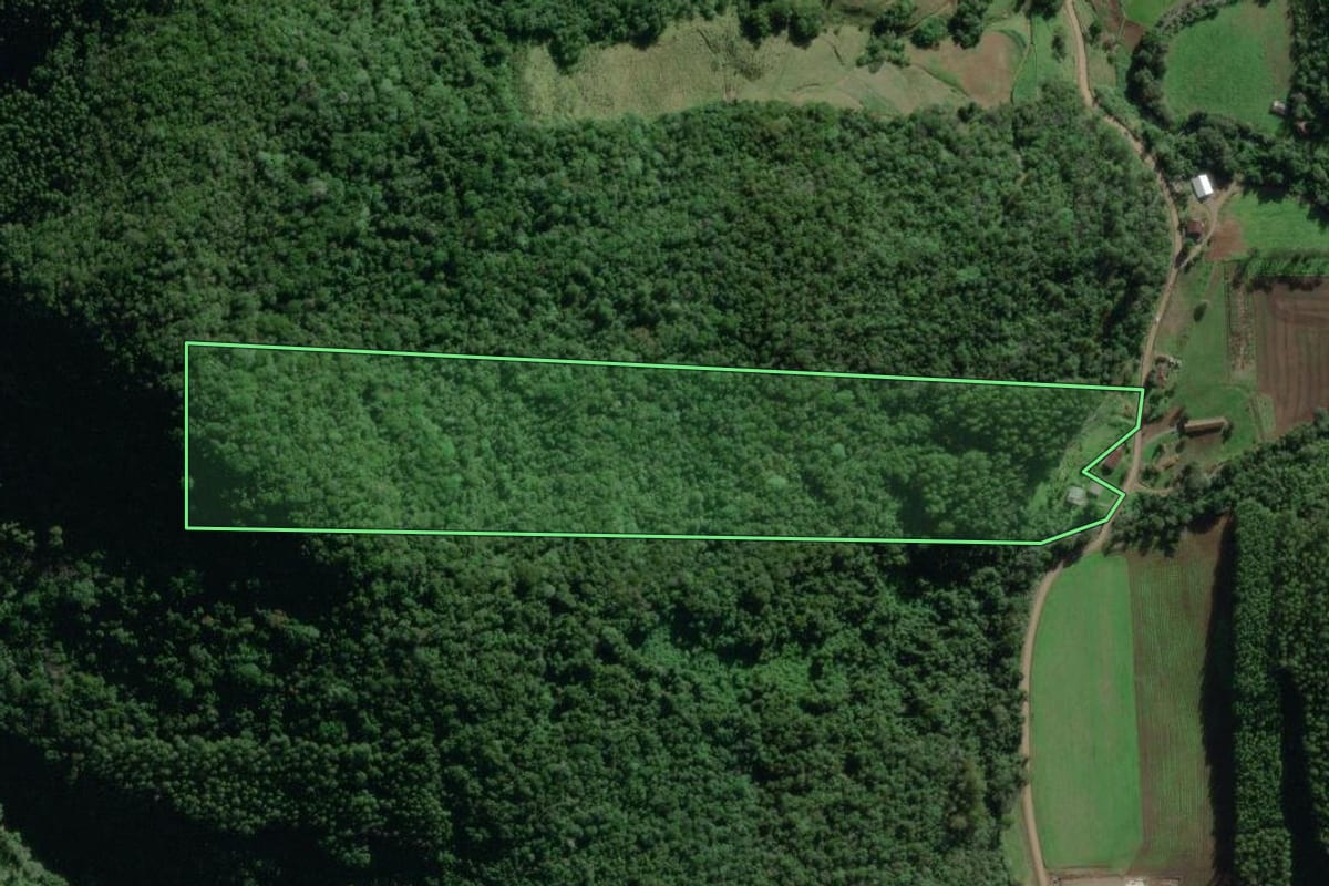 Imagem de satélite do imóvel rural em Travesseiro (RS), com o contorno declarado no CAR desenhado por cima.