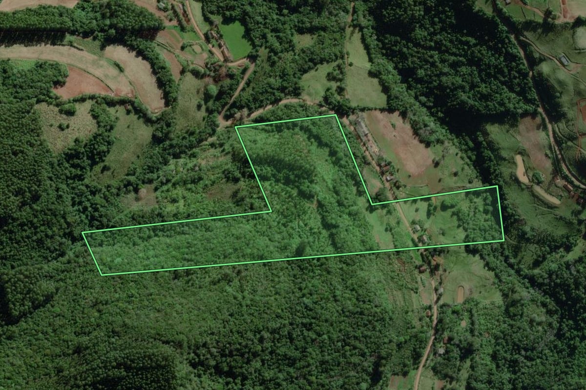Imagem de satélite do imóvel rural em Travesseiro (RS), com o contorno declarado no CAR desenhado por cima.