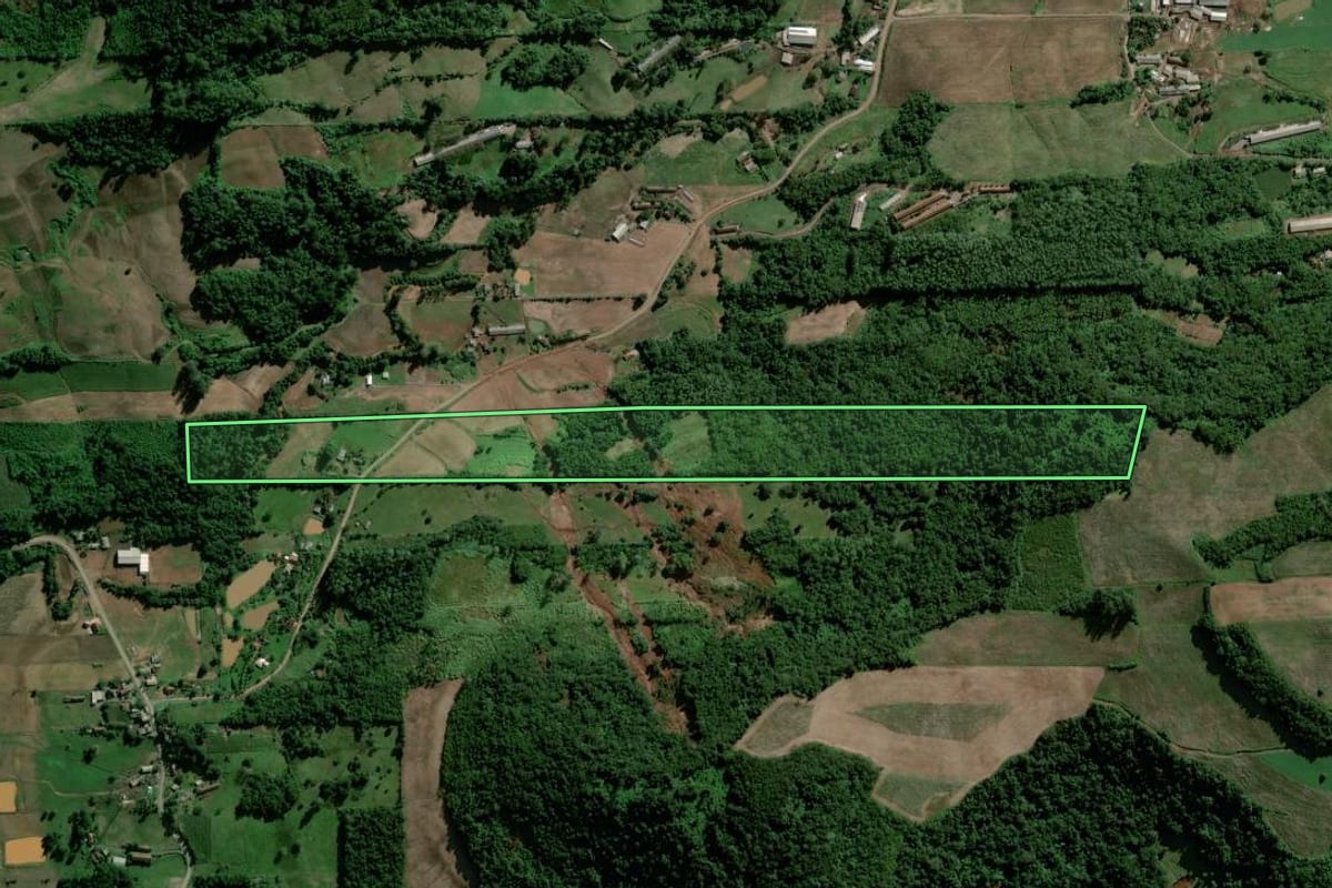 Imagem de satélite do imóvel rural em Travesseiro (RS), com o contorno declarado no CAR desenhado por cima.