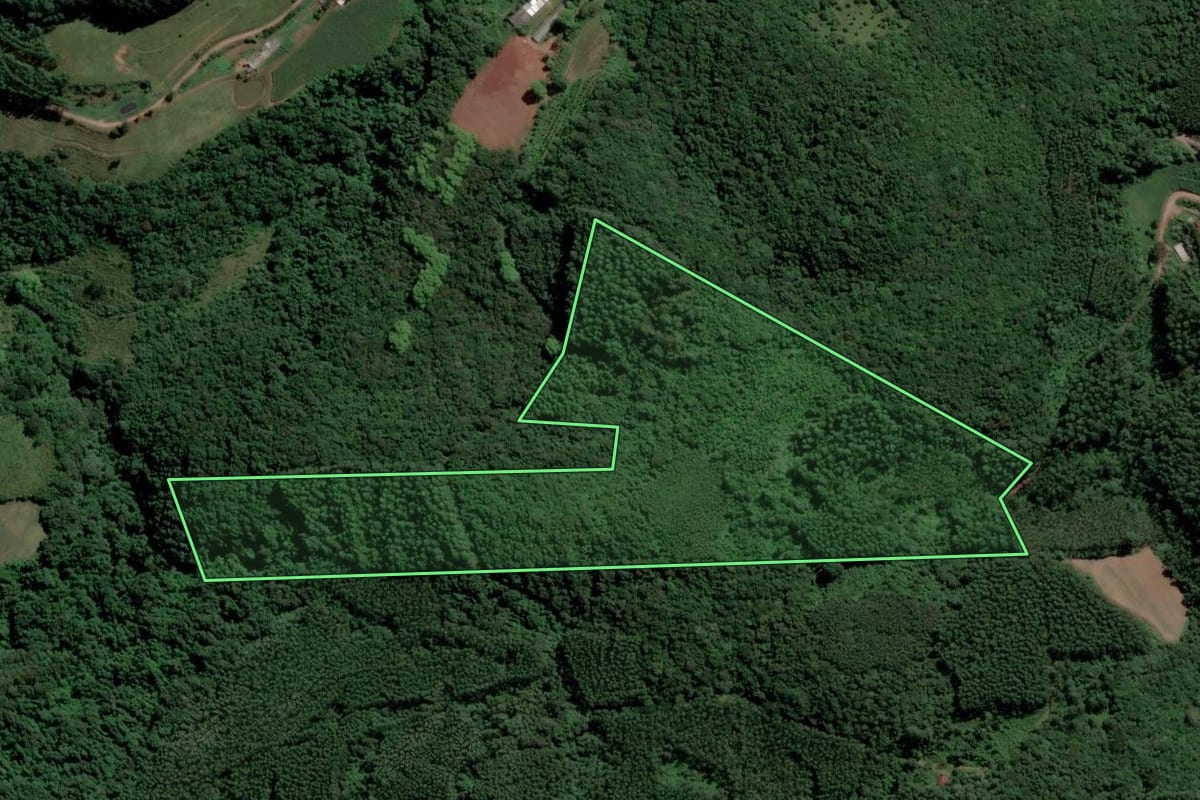 Imagem de satélite do imóvel rural em Travesseiro (RS), com o contorno declarado no CAR desenhado por cima.