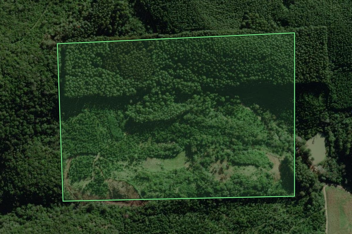 Imagem de satélite do imóvel rural em Travesseiro (RS), com o contorno declarado no CAR desenhado por cima.