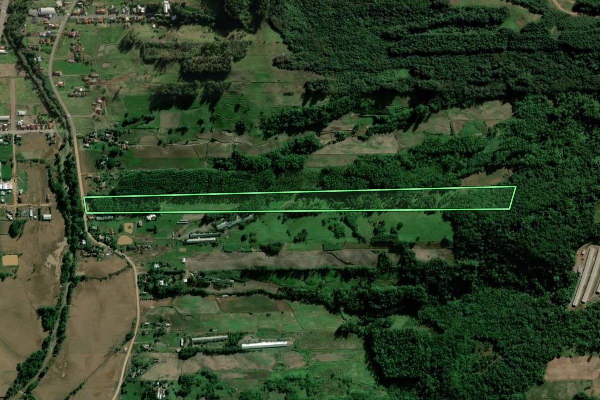 Imagem de satélite do imóvel rural em Travesseiro (RS), com o contorno declarado no CAR desenhado por cima.