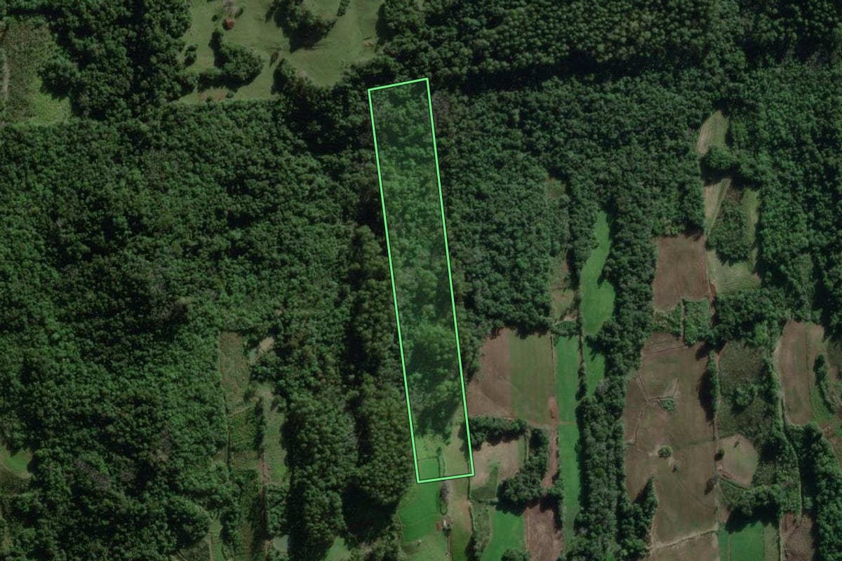 Imagem de satélite do imóvel rural em Travesseiro (RS), com o contorno declarado no CAR desenhado por cima.