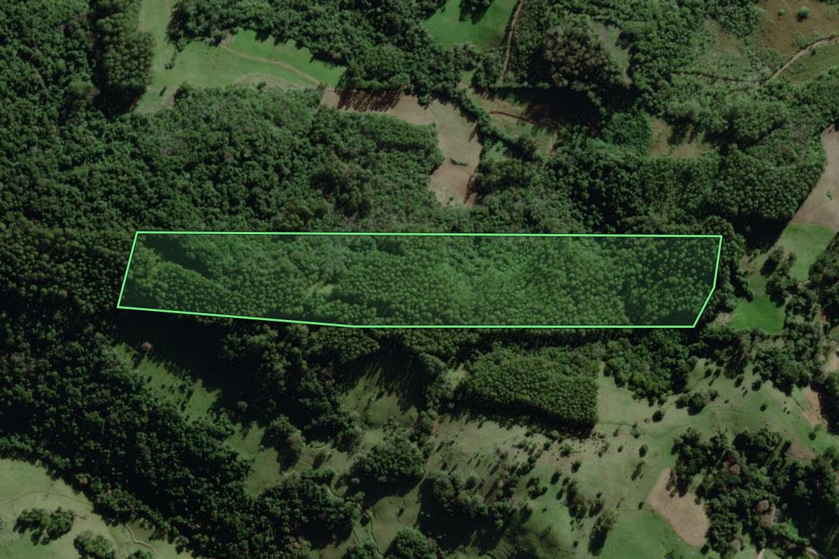Imagem de satélite do imóvel rural em Travesseiro (RS), com o contorno declarado no CAR desenhado por cima.