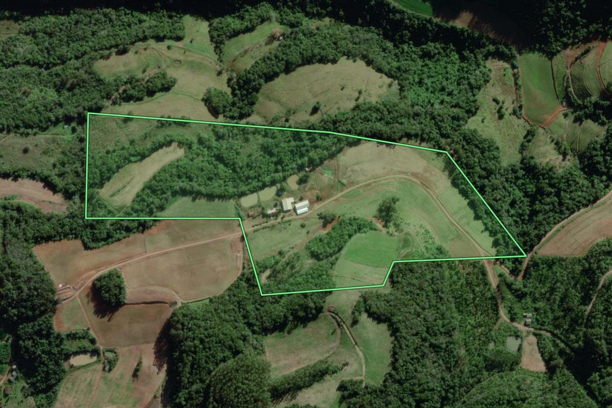 Imagem de satélite do imóvel rural em Travesseiro (RS), com o contorno declarado no CAR desenhado por cima.