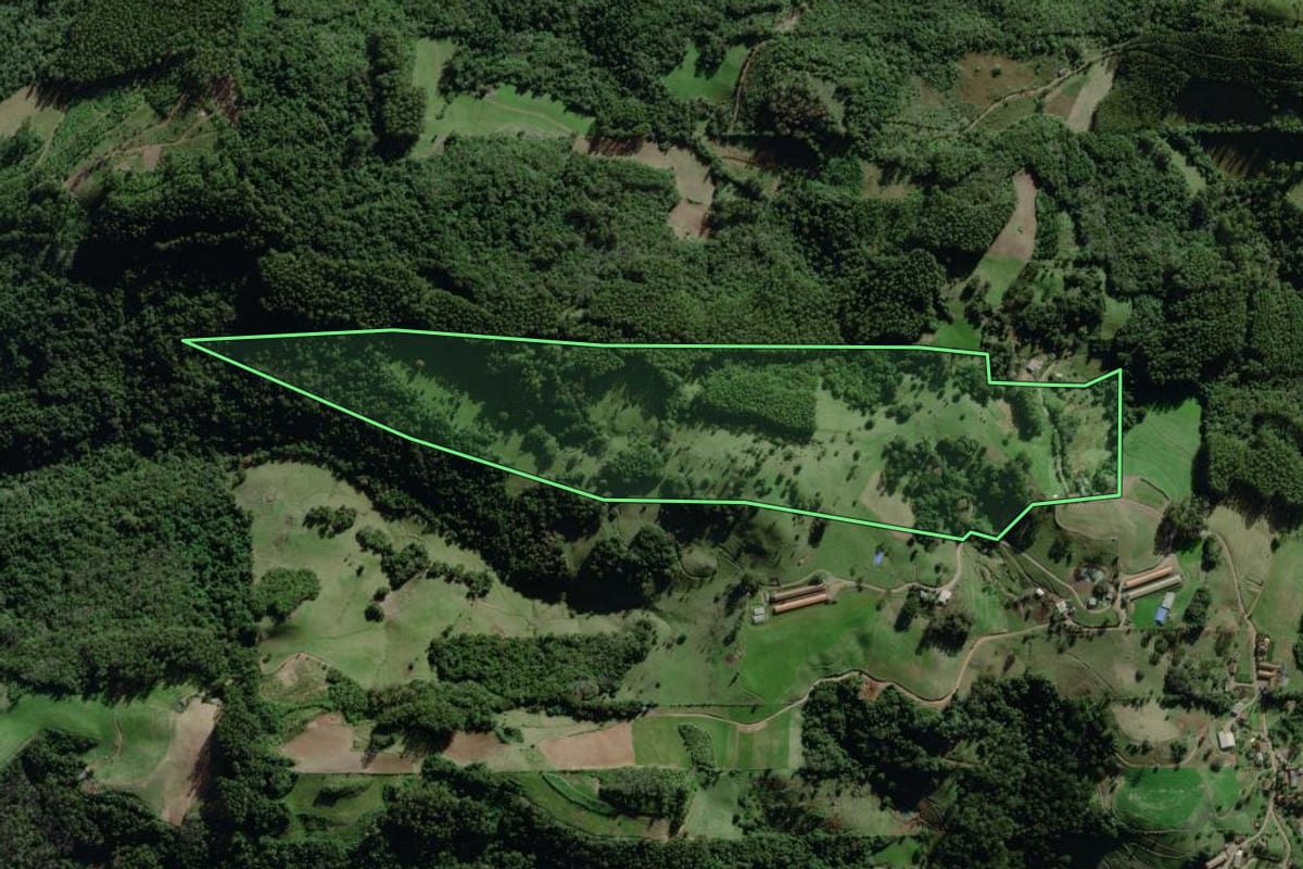 Imagem de satélite do imóvel rural em Travesseiro (RS), com o contorno declarado no CAR desenhado por cima.