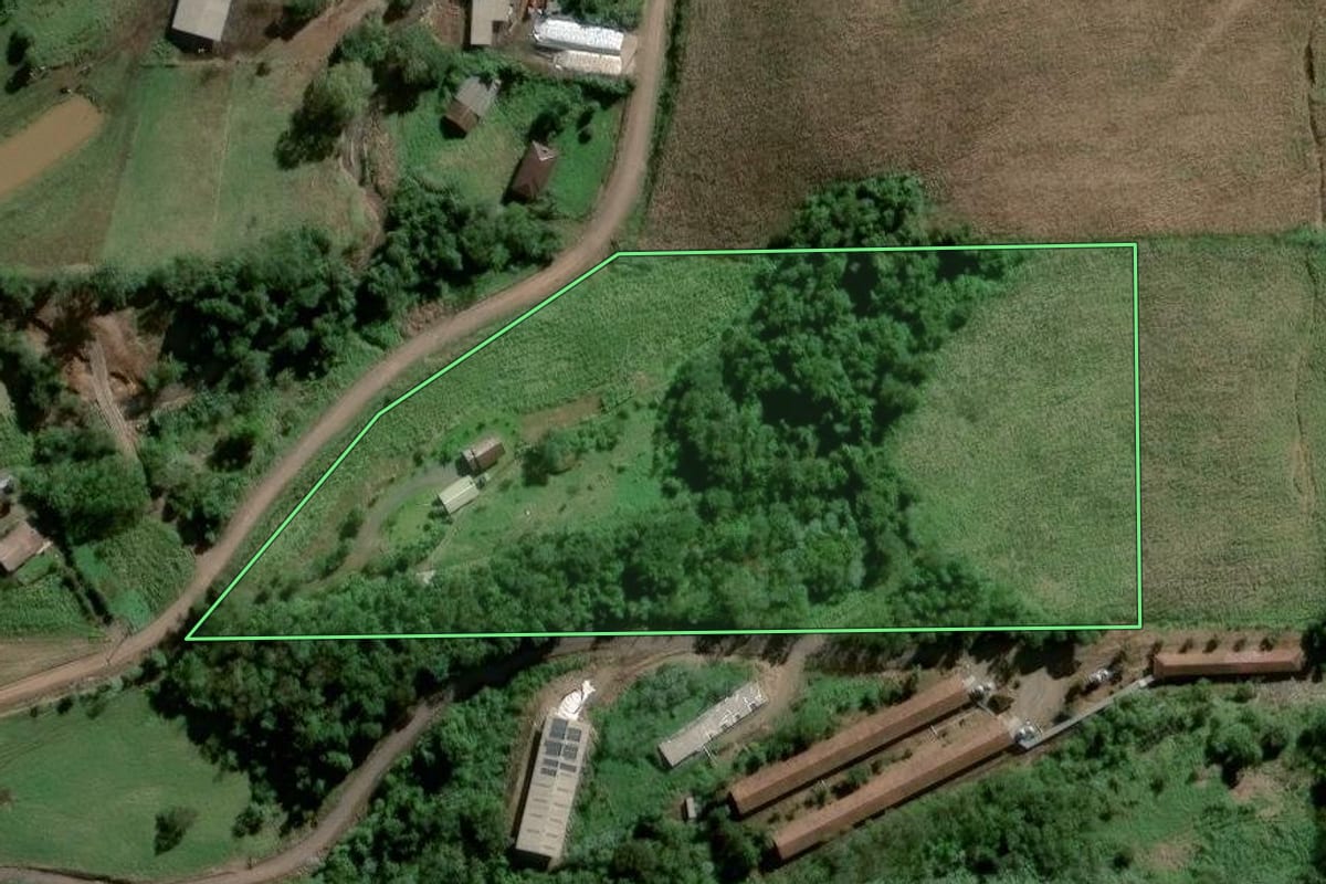 Imagem de satélite do imóvel rural em Travesseiro (RS), com o contorno declarado no CAR desenhado por cima.
