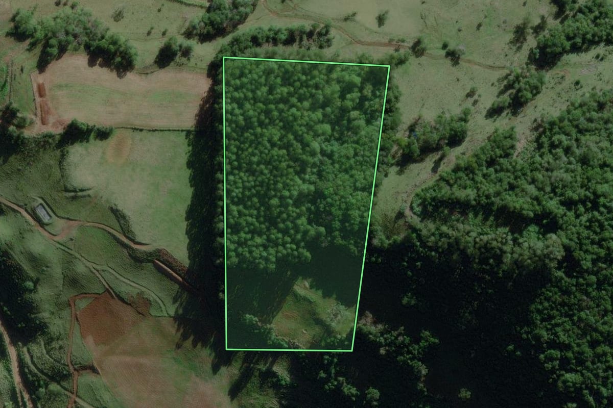 Imagem de satélite do imóvel rural em Travesseiro (RS), com o contorno declarado no CAR desenhado por cima.