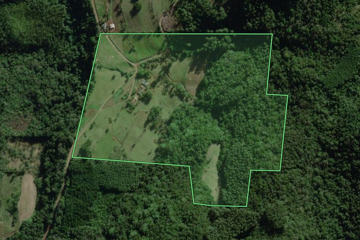 Imagem de satélite do imóvel rural em Travesseiro (RS), com o contorno declarado no CAR desenhado por cima.