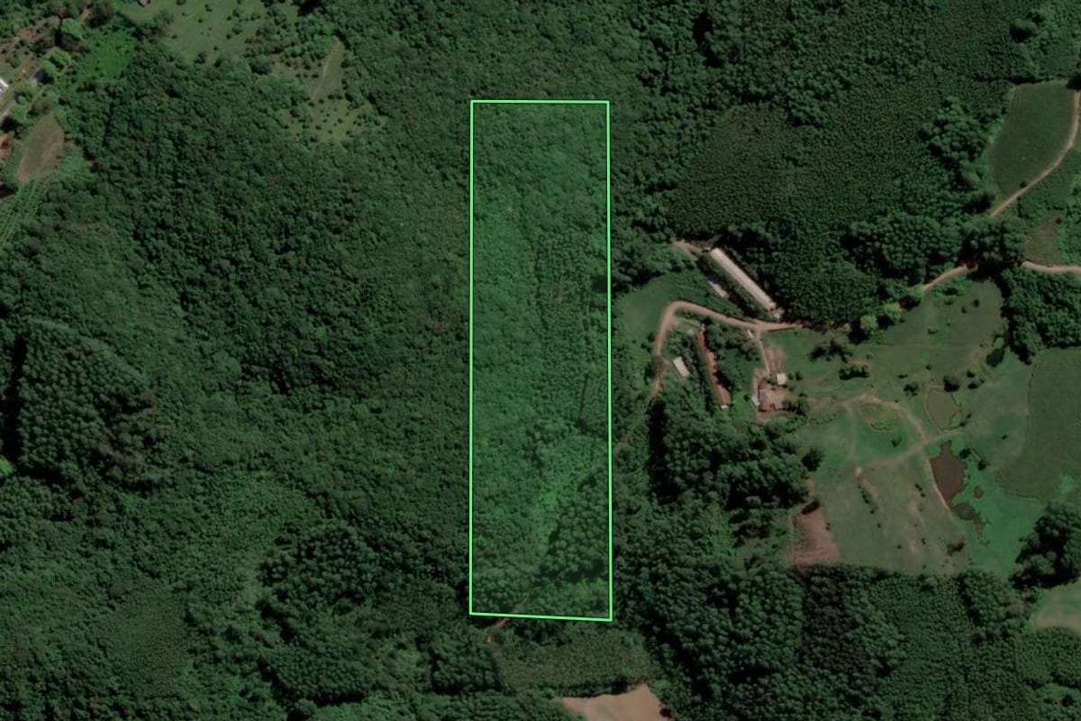 Imagem de satélite do imóvel rural em Travesseiro (RS), com o contorno declarado no CAR desenhado por cima.