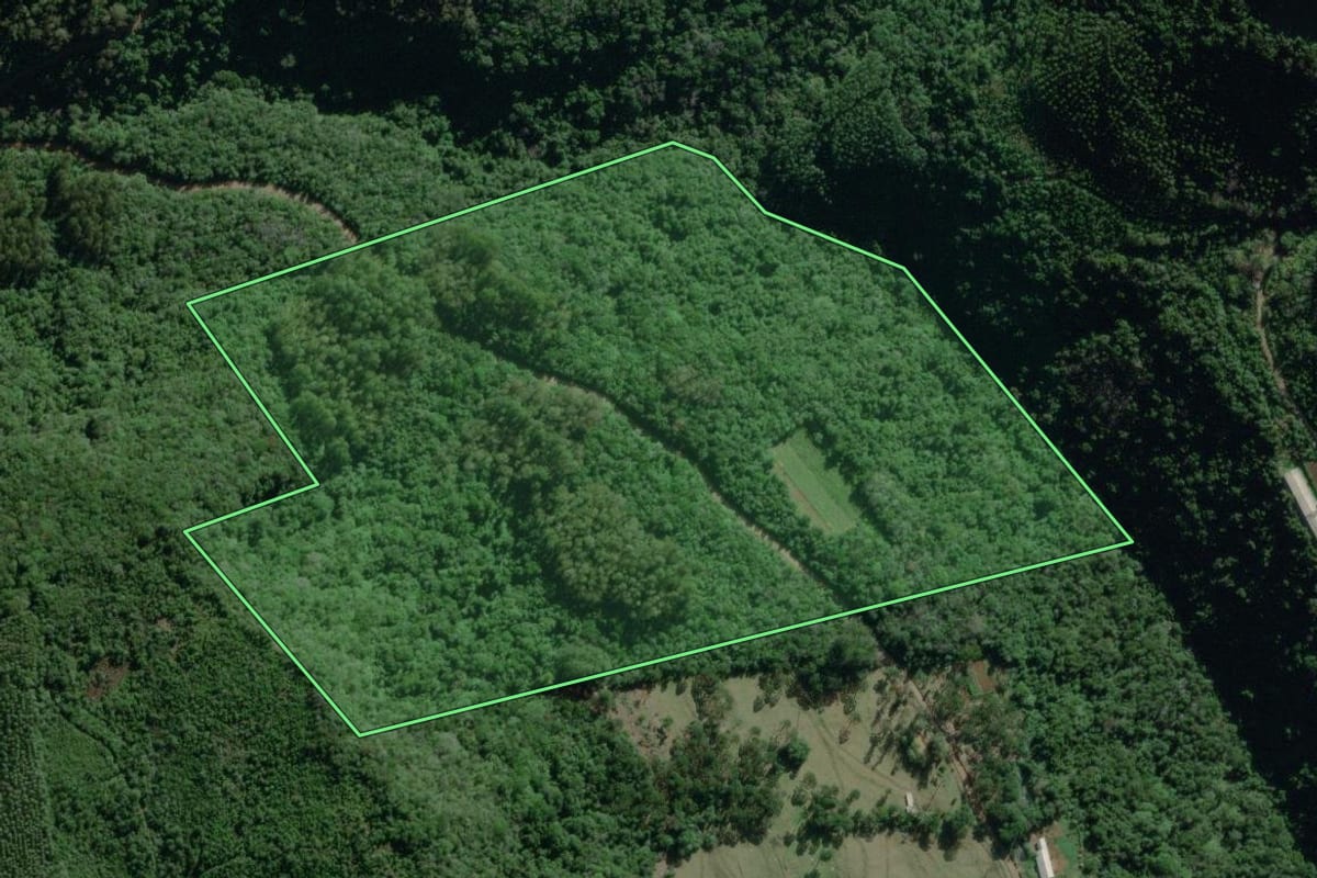 Imagem de satélite do imóvel rural em Travesseiro (RS), com o contorno declarado no CAR desenhado por cima.