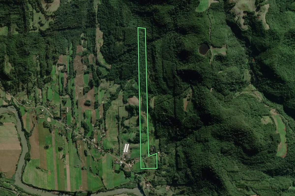 Imagem de satélite do imóvel rural em Travesseiro (RS), com o contorno declarado no CAR desenhado por cima.