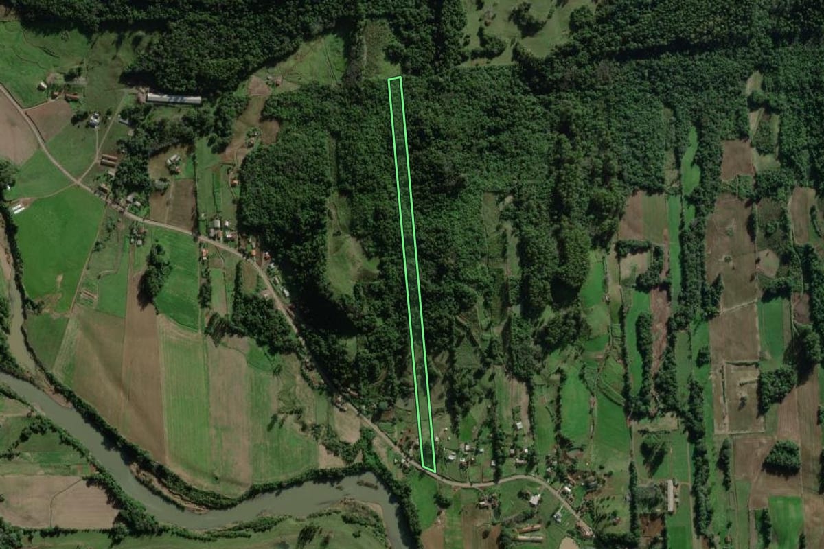 Imagem de satélite do imóvel rural em Travesseiro (RS), com o contorno declarado no CAR desenhado por cima.