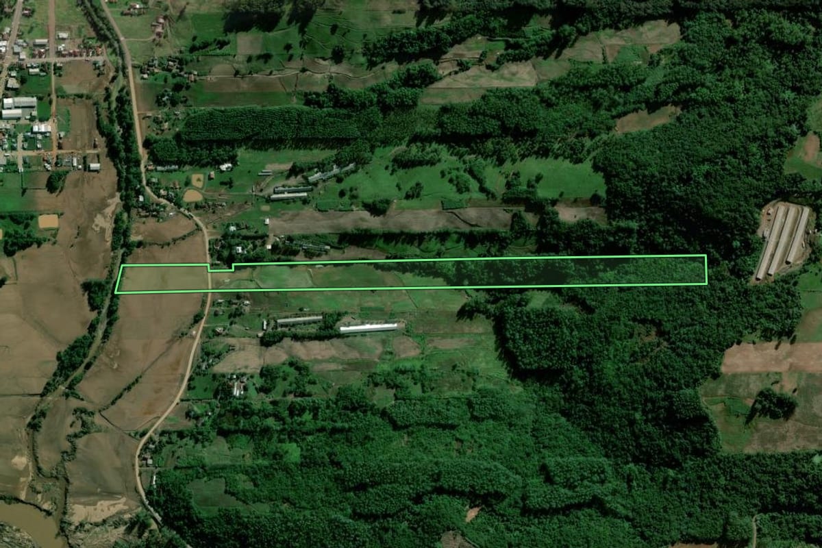 Imagem de satélite do imóvel rural em Travesseiro (RS), com o contorno declarado no CAR desenhado por cima.