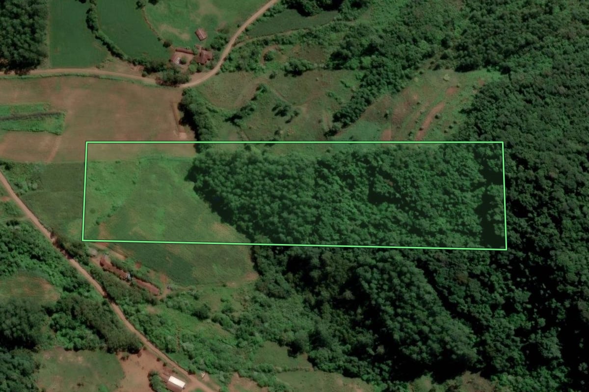 Imagem de satélite do imóvel rural em Travesseiro (RS), com o contorno declarado no CAR desenhado por cima.