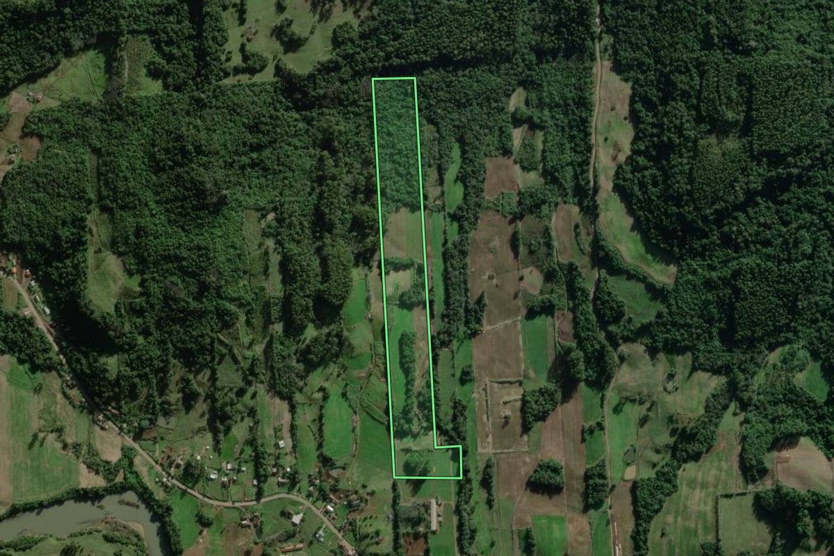 Imagem de satélite do imóvel rural em Travesseiro (RS), com o contorno declarado no CAR desenhado por cima.