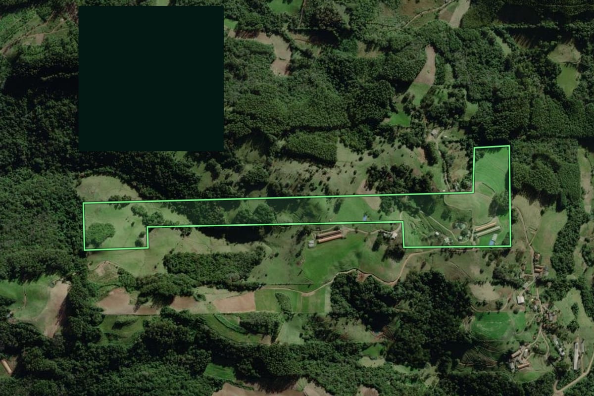Imagem de satélite do imóvel rural em Travesseiro (RS), com o contorno declarado no CAR desenhado por cima.