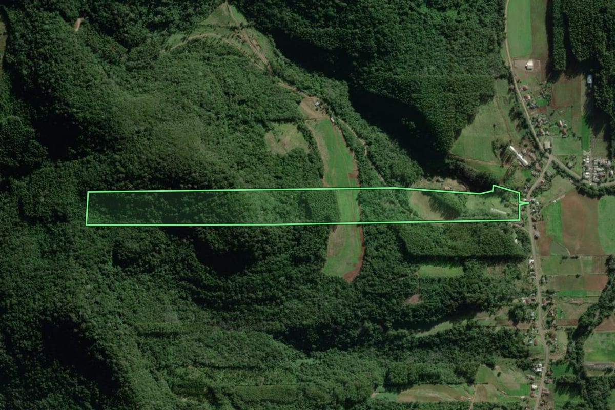 Imagem de satélite do imóvel rural em Travesseiro (RS), com o contorno declarado no CAR desenhado por cima.