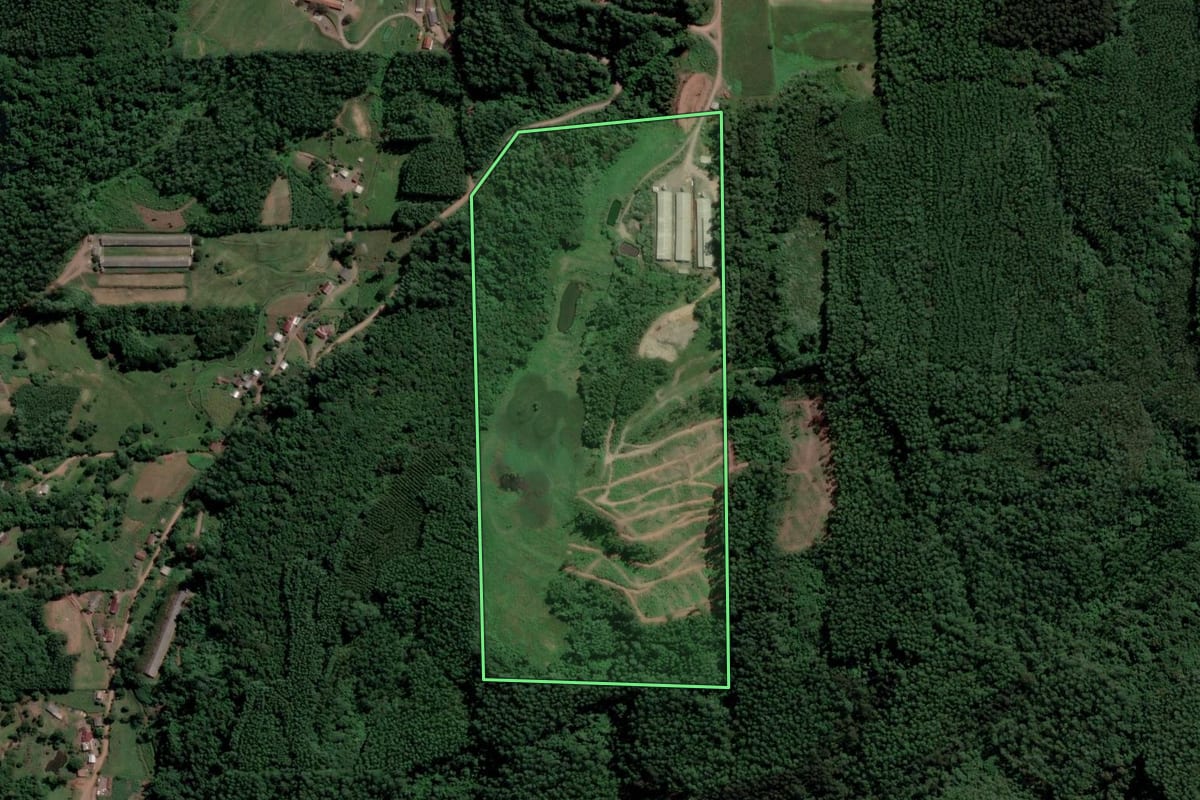 Imagem de satélite do imóvel rural em Travesseiro (RS), com o contorno declarado no CAR desenhado por cima.