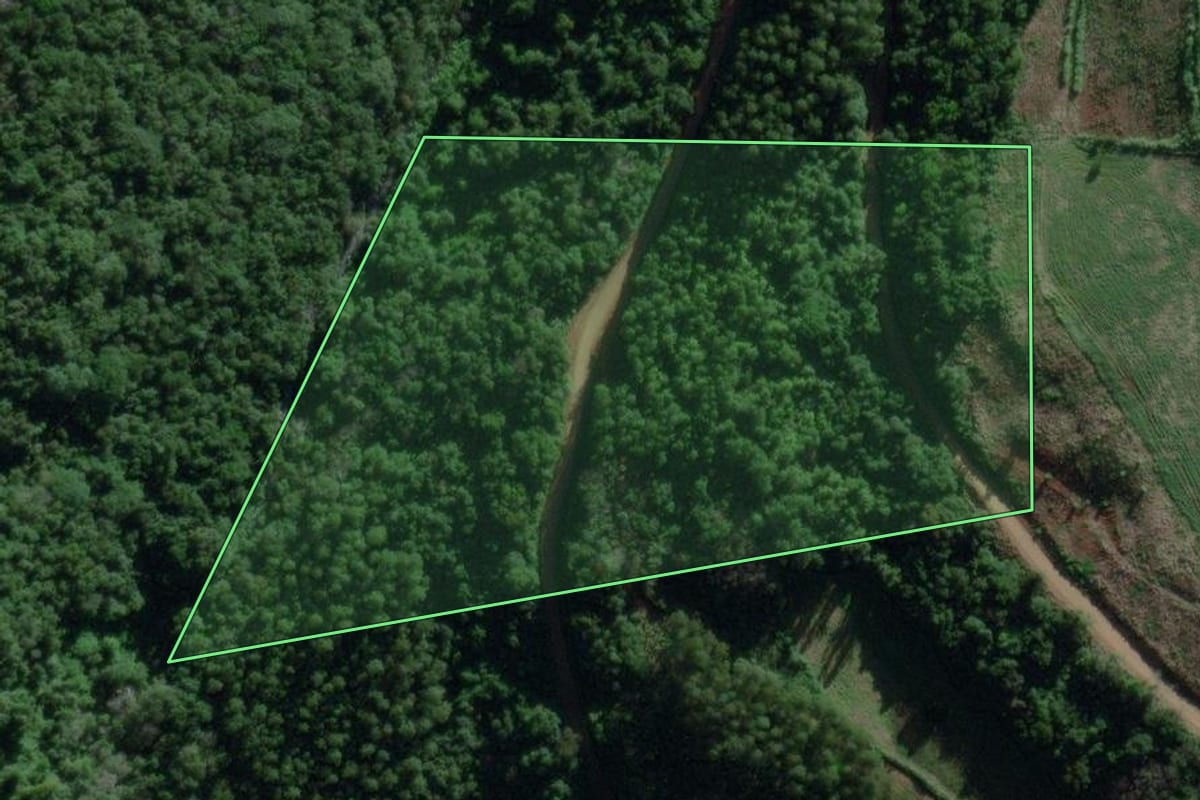 Imagem de satélite do imóvel rural em Travesseiro (RS), com o contorno declarado no CAR desenhado por cima.