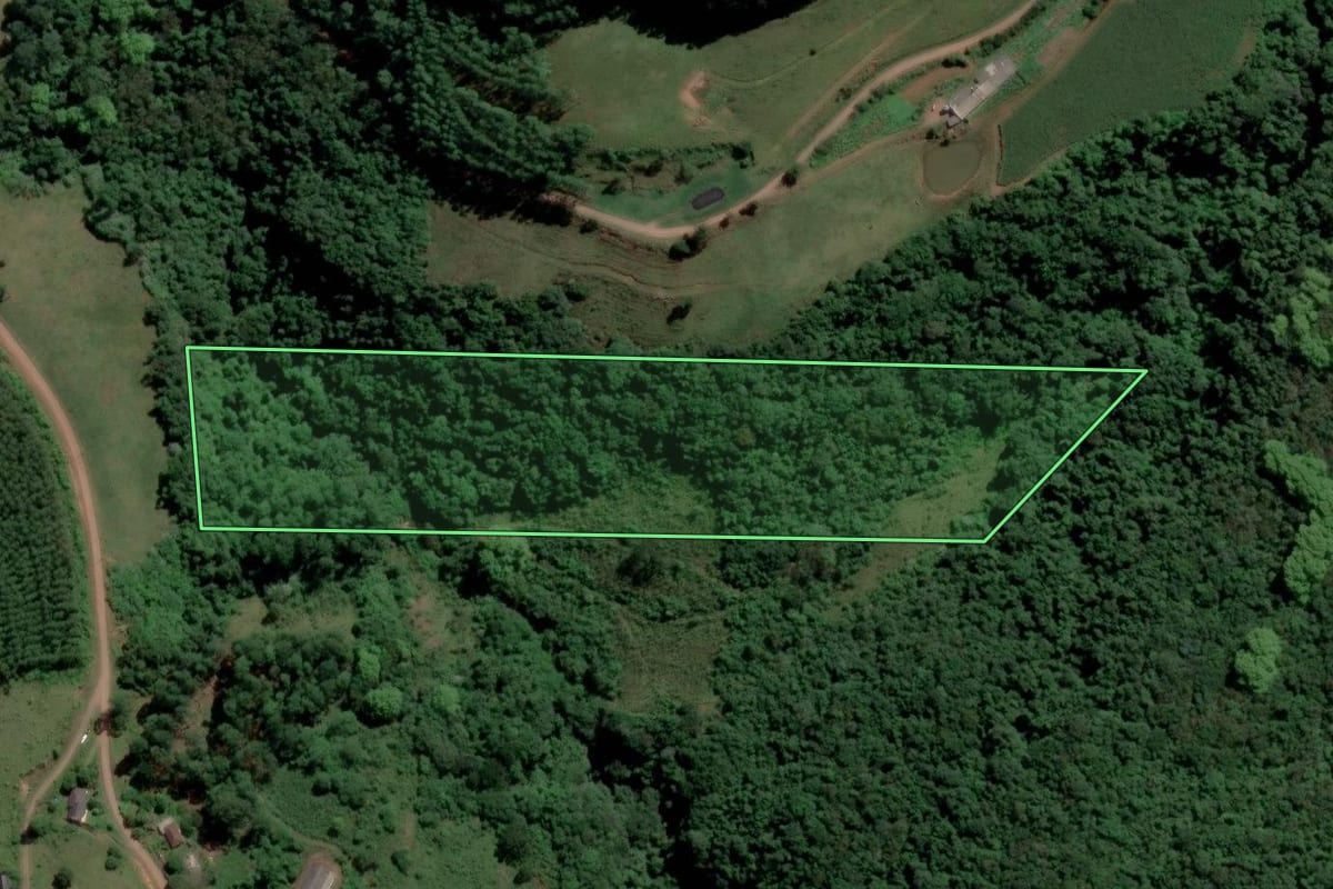 Imagem de satélite do imóvel rural em Travesseiro (RS), com o contorno declarado no CAR desenhado por cima.
