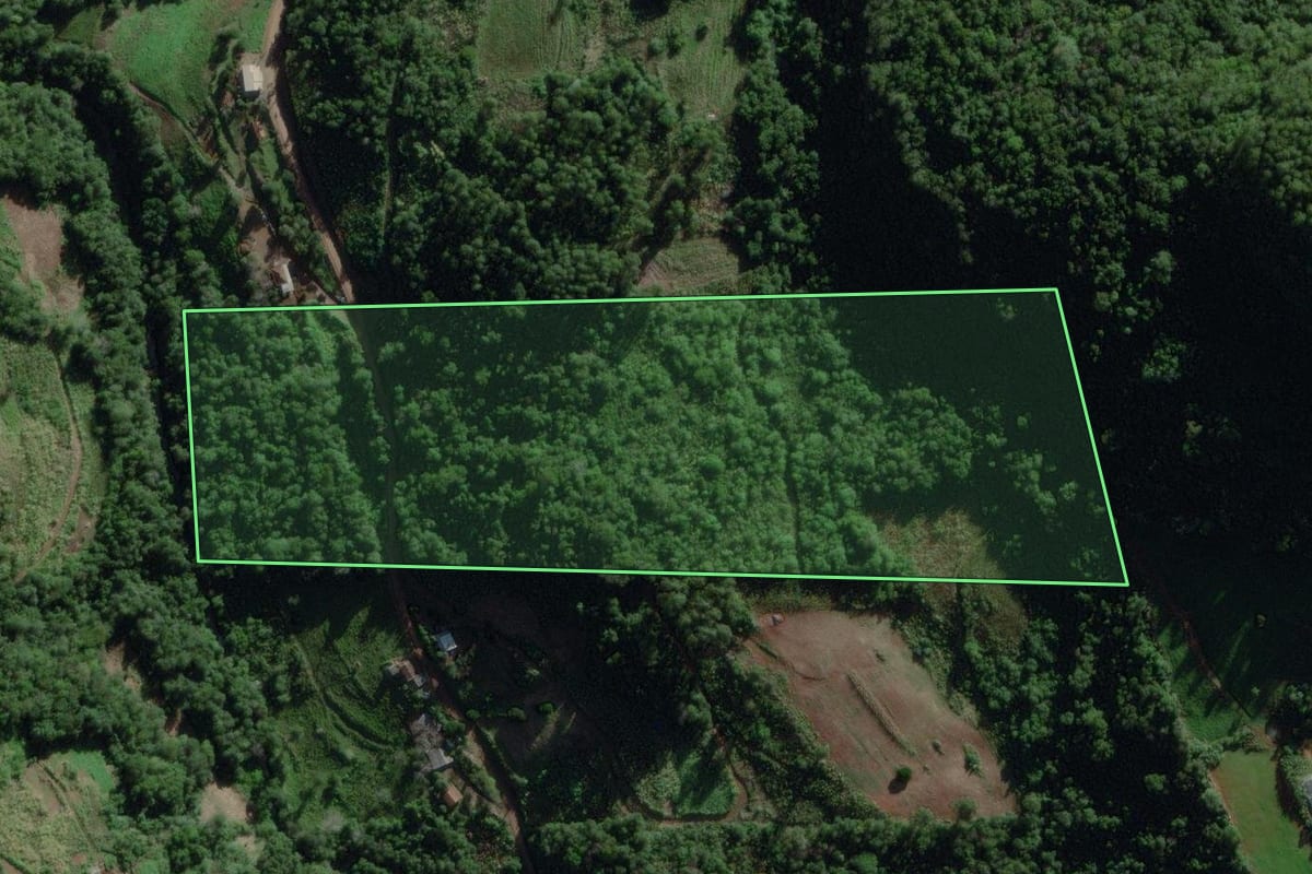 Imagem de satélite do imóvel rural em Travesseiro (RS), com o contorno declarado no CAR desenhado por cima.
