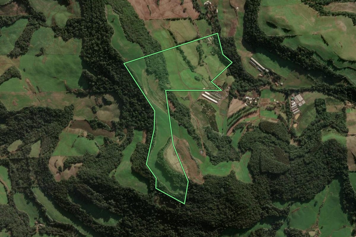 Imagem de satélite do imóvel rural em Três Arroios (RS), com o contorno declarado no CAR desenhado por cima.