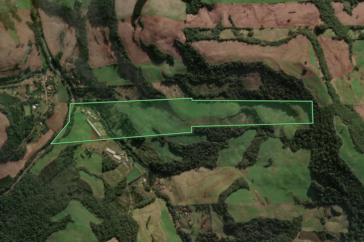 Imagem de satélite do imóvel rural em Três Arroios (RS), com o contorno declarado no CAR desenhado por cima.