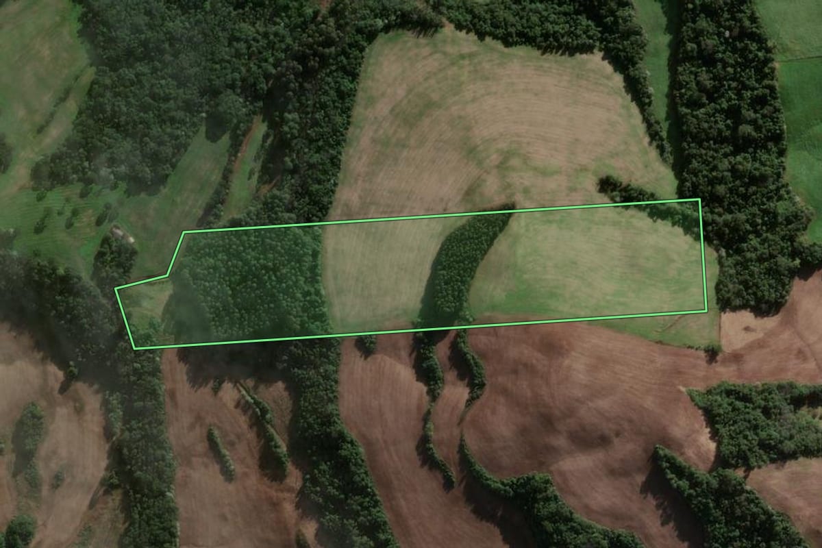 Imagem de satélite do imóvel rural em Três Arroios (RS), com o contorno declarado no CAR desenhado por cima.